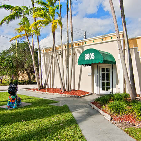 Main Street Children's Dentistry of Palmetto Bay