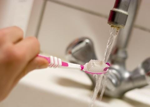 Germs living on my toothbrush? Say it ain’t so! Germs living on my toothbrush? Say it ain’t so!