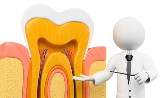 Endodontics - How an Affordable Dentist Can Save Your Tooth Endodontics - How an Affordable Dentist Can Save Your Tooth