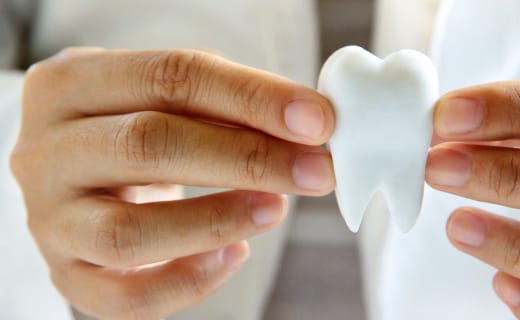 From Enamel to Cementum: Understand Your Teeth From Enamel to Cementum: Understand Your Teeth