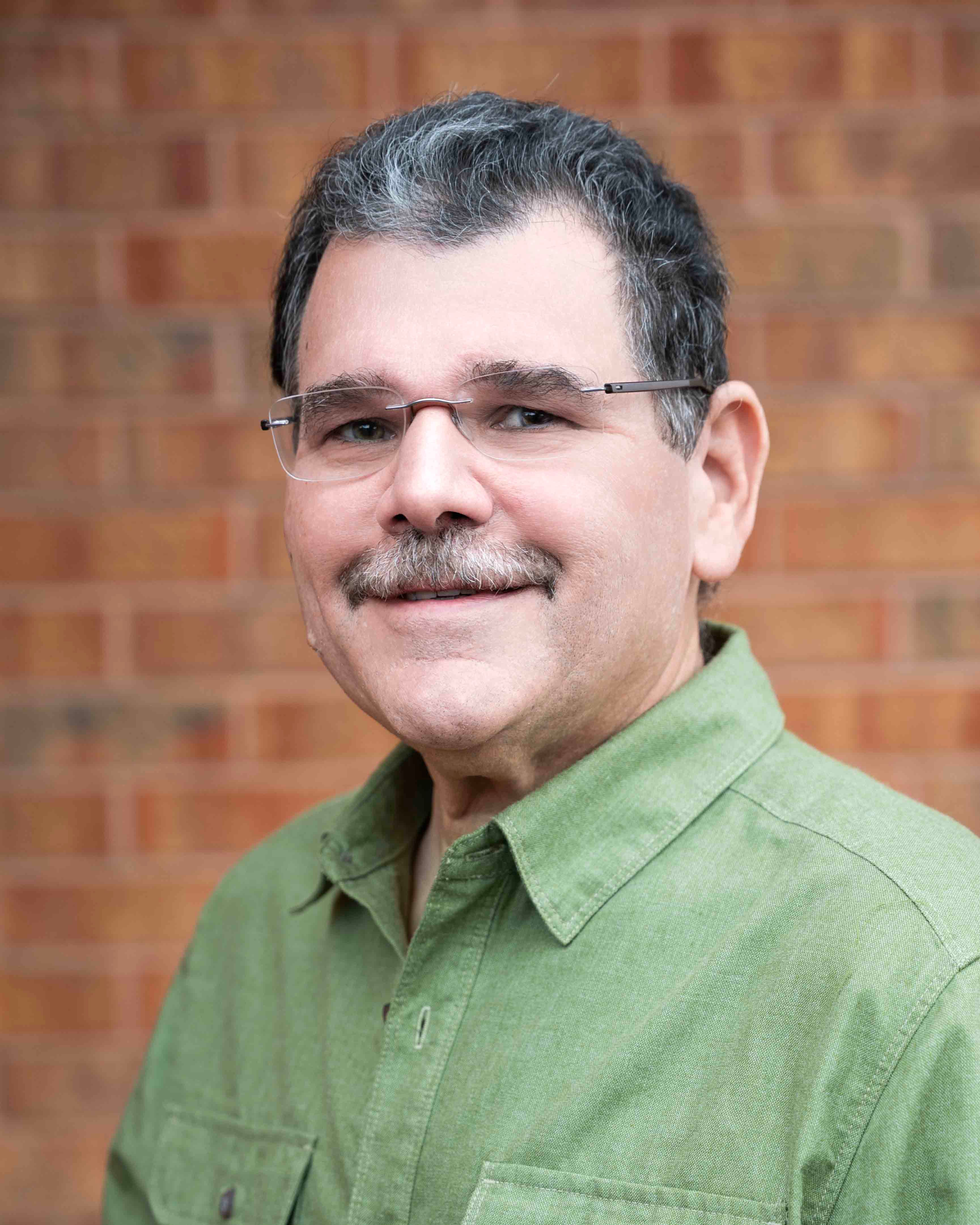 Dr. Mark Greenstein portrait