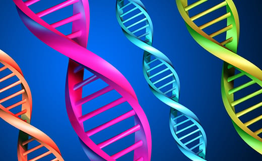 Are Bad Teeth Hereditary? Are Bad Teeth Hereditary?