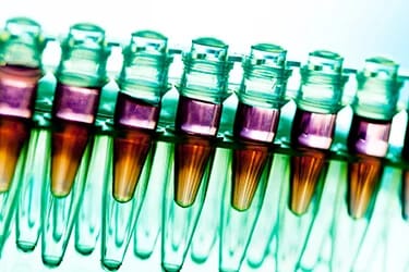 Cancer research viles