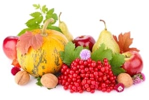 Antioxidants and avoiding sugar should be part of dental care Antioxidants and avoiding sugar should be part of dental care