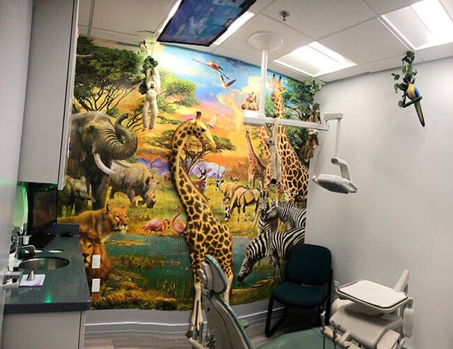 Jungle room
