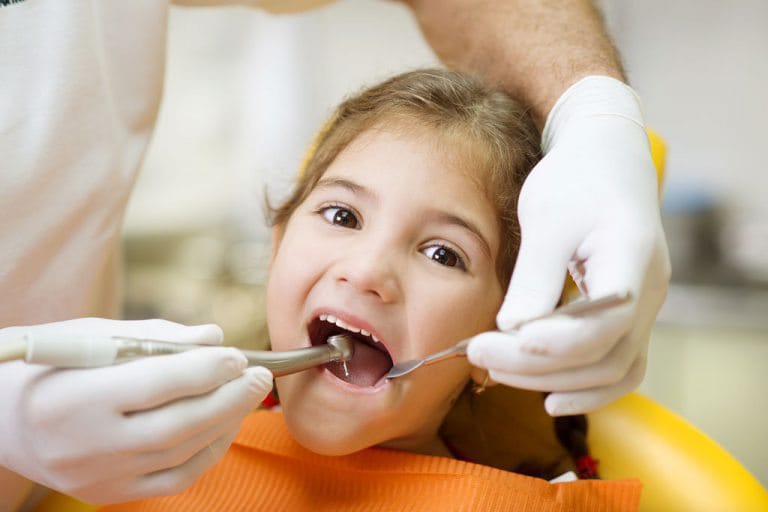 The kids Dentist dental terminology image