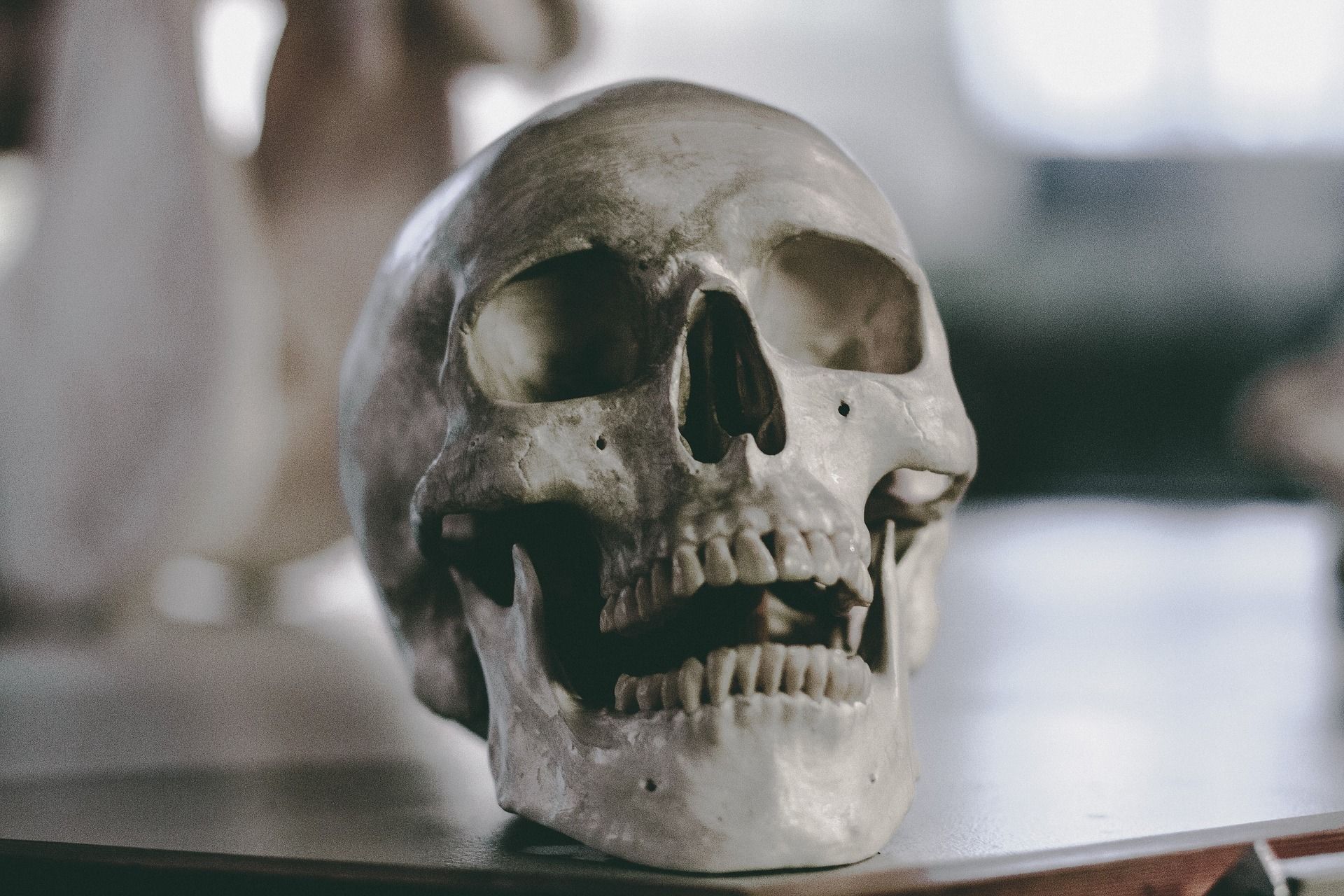 skull-2589974_1920