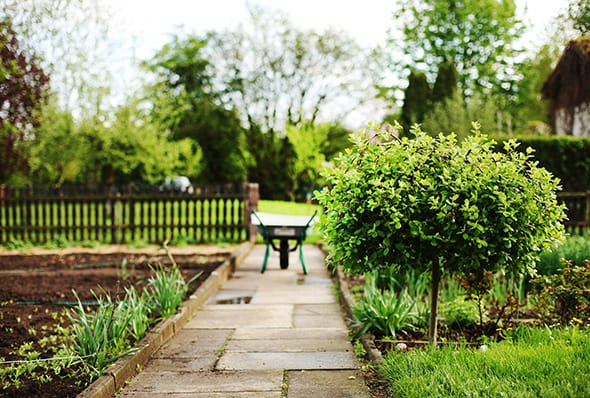 garden