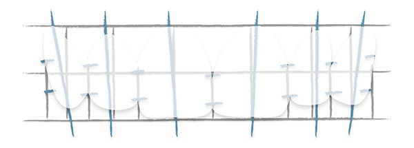 Illustration of tooth structure and proportions