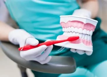 Deep Dental Cleaning St Augustine Deep Dental Cleaning St Augustine