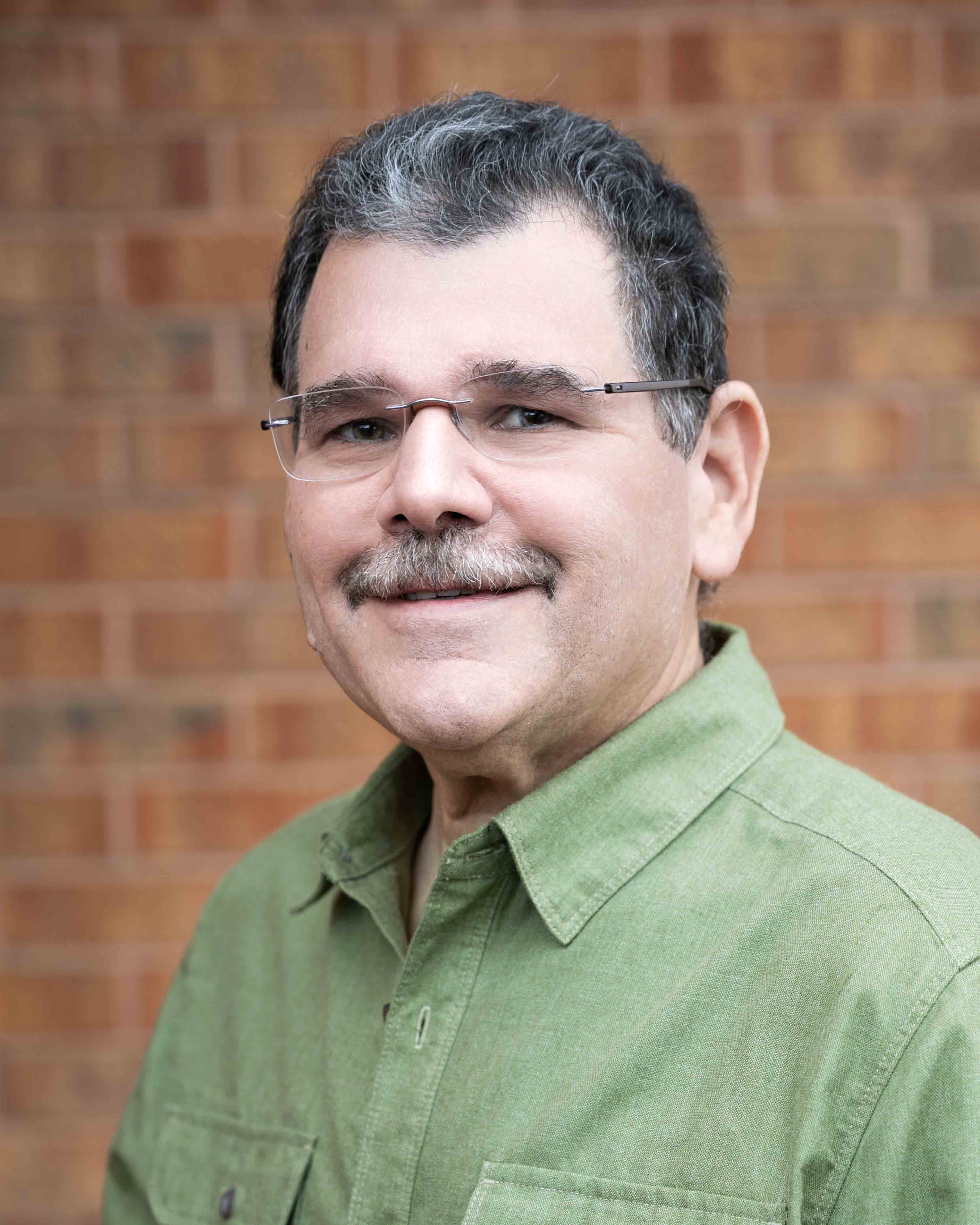 Dr. Mark Greenstein portrait